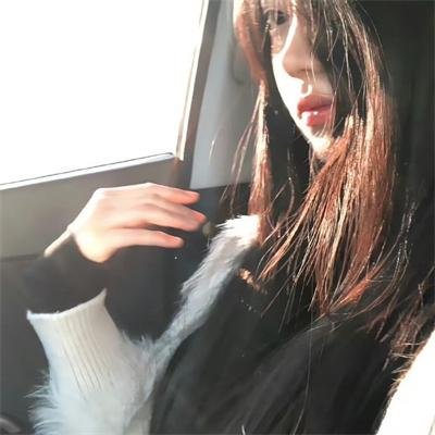 动画冒险